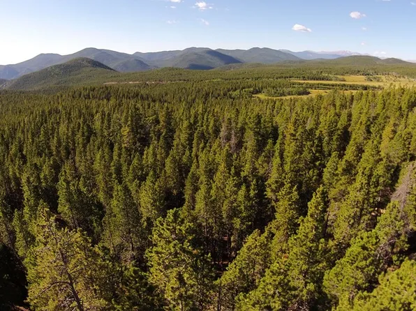 33697 Gap Rd, Golden, CO 80403