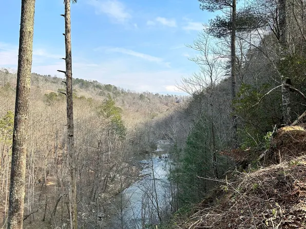 436 Meadow Ln, Talking Rock, GA 30175