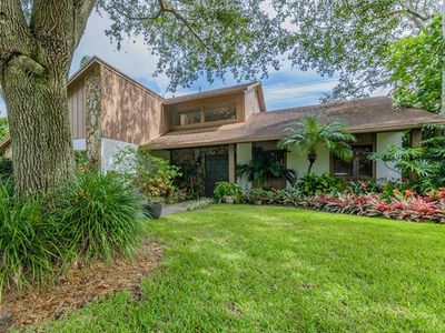 12101 Cypress Hollow Pl, Tampa, FL, 33624