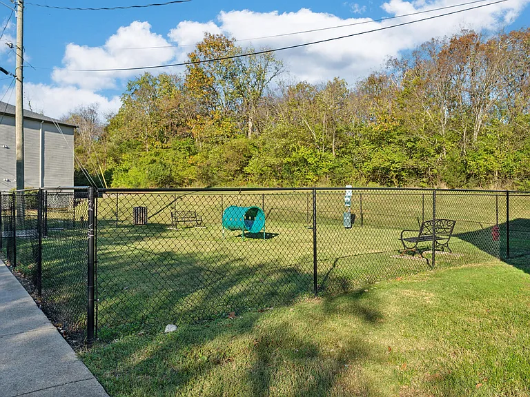 Spacious Pet Park Area