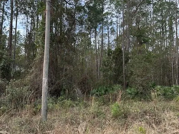 111 LOBSTER Place, Palatka, FL 32177