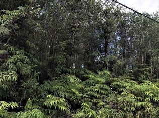 Hibiscus St, Mountain View, HI 96771