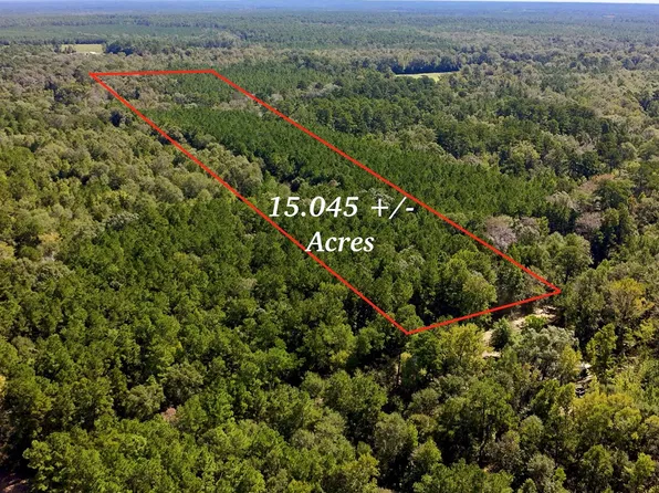 County Road 1058, Wiergate, TX 75977