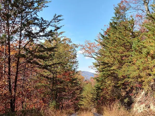 0 Green Forest Rd Lot 0, Cosby, TN 37722