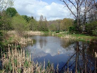 100 Acre Park Pond