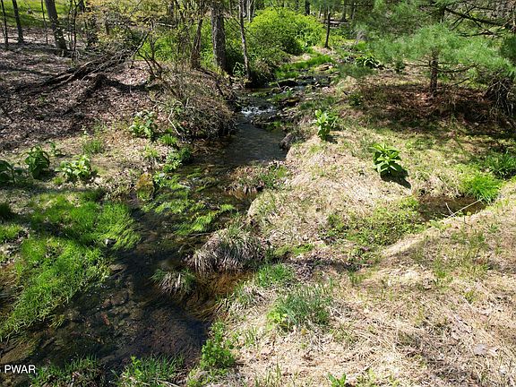 5th image of 162 Log And Twig Rd