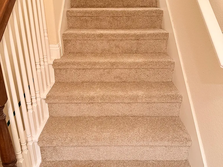 12420 Paradise Creek Ln — Photo 15