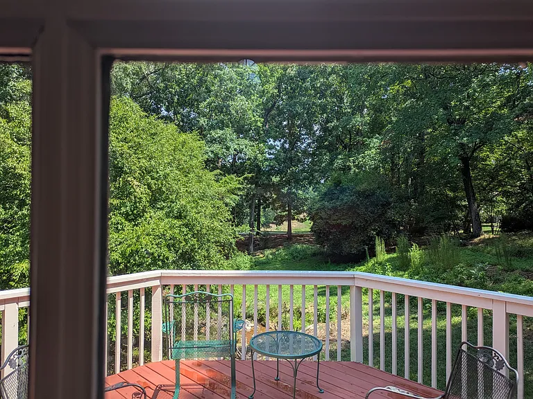 View from deck.