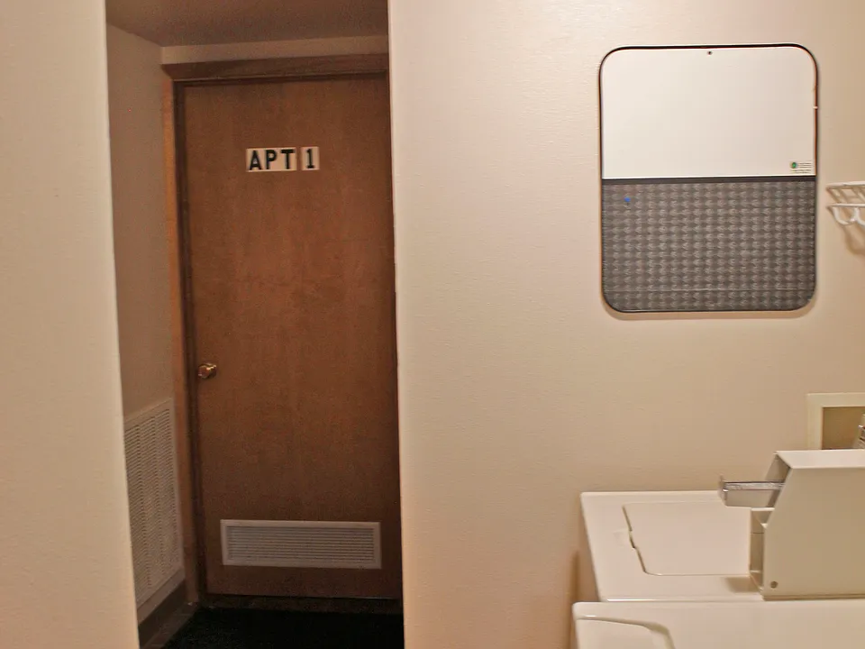 Hallway and Apartment Door
