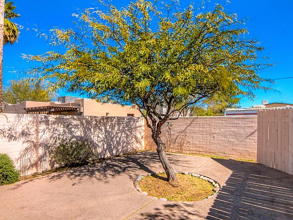 Back Patio with Shade Tree