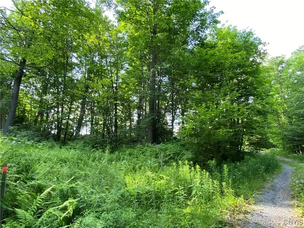 1517 State Route 28, Thendara, NY 13472