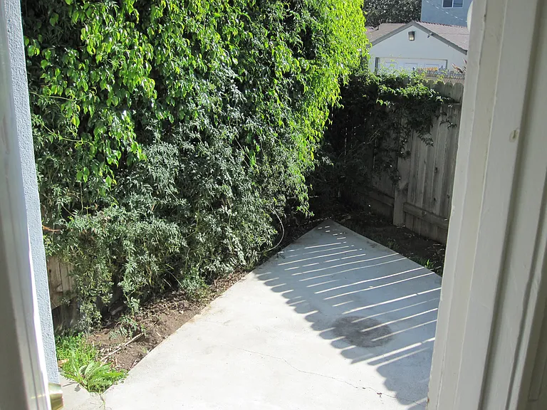 View from kitchen to backyard