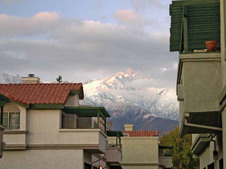 View from garage.