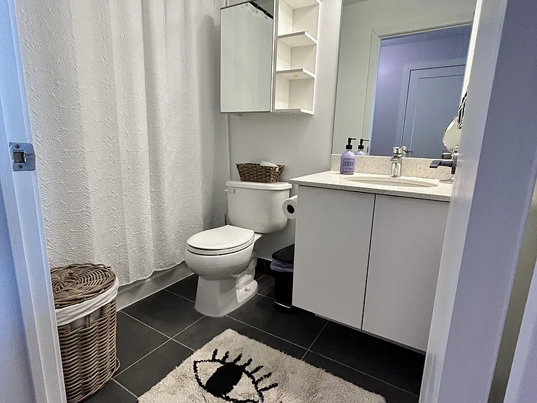 150 E Liberty St #1309 — Photo 20