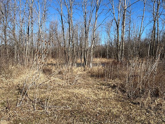 4th image of 39155 N Dilleys Rd