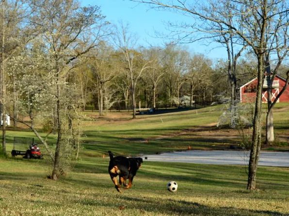 1057 Angela Rd, Wagener, SC 29164