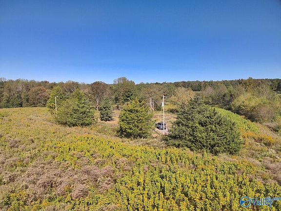 4th image of Murphee Rd