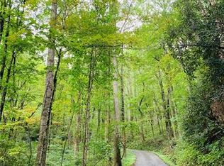 94 Bucks Rdg #15-16-17, Clyde, NC 28721