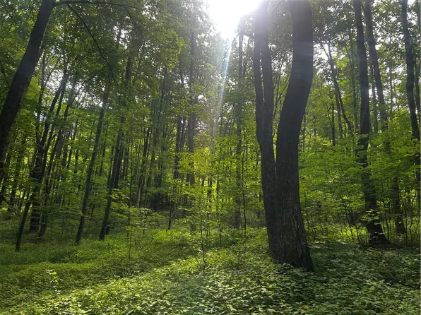 Ivan Mereness Rd Lot 8, Worcester, NY 12197