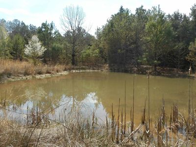 2535 Highway 421, Sardis, TN, 38371
