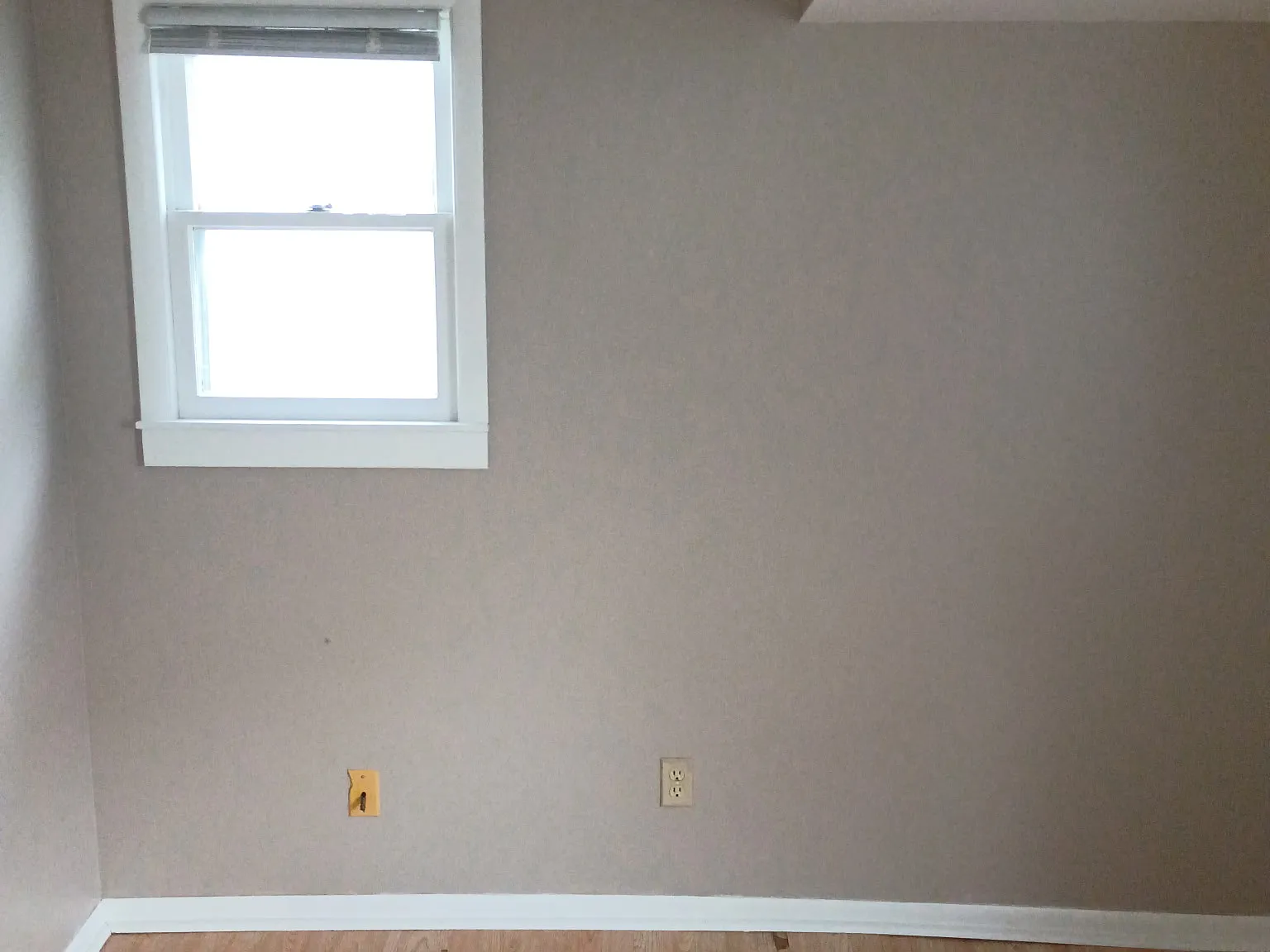 1402 Webster Street - 1 — Photo 4
