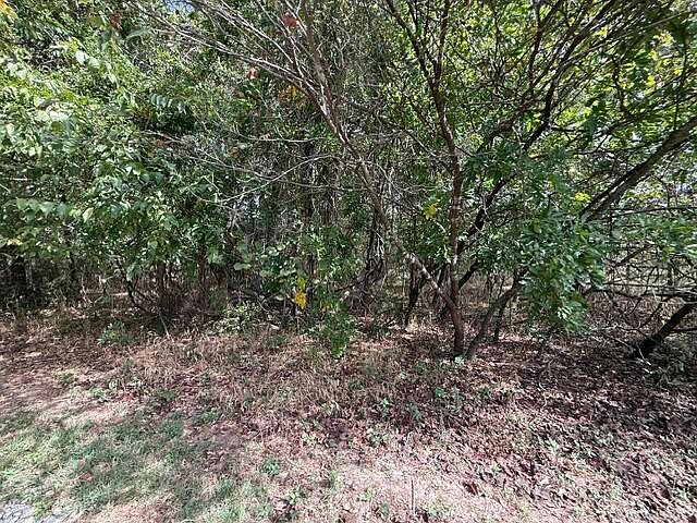 1st image of 0 Walnut Circle