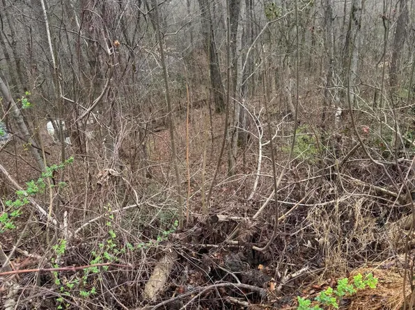 LOT 65 Grand View Way, Cosby, TN 37722