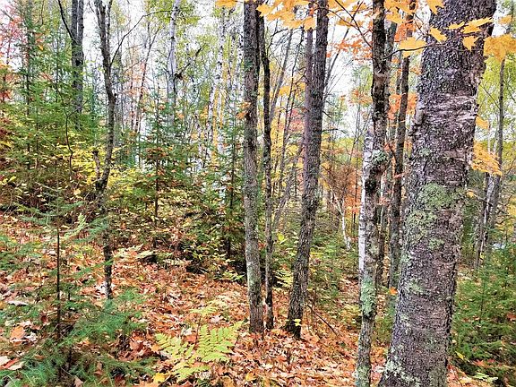 5th image of Beaver Lodge Cir