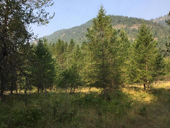 3rd image of Nhn Conifer Ln