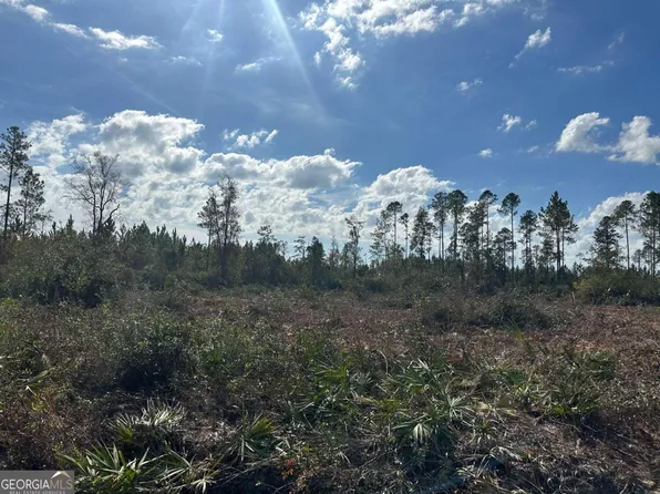 0-1 Tv Tower Rd, Millwood, GA 31552