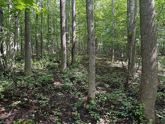 4th image of LOT 22 Austin Traphill Rd