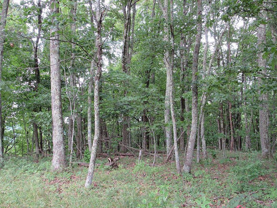 0 Ellison Ridge Rd, Flat Top, WV 25841 Zillow