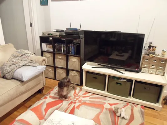 Rented by Sky Management | media 52