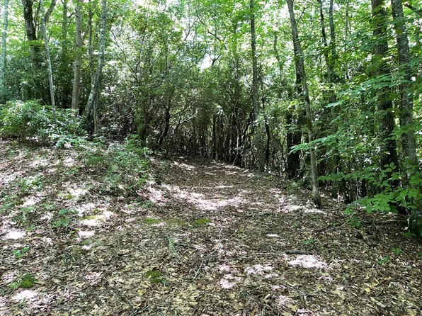 LOT 3 Gateway Ln, Hiawassee, GA 30546