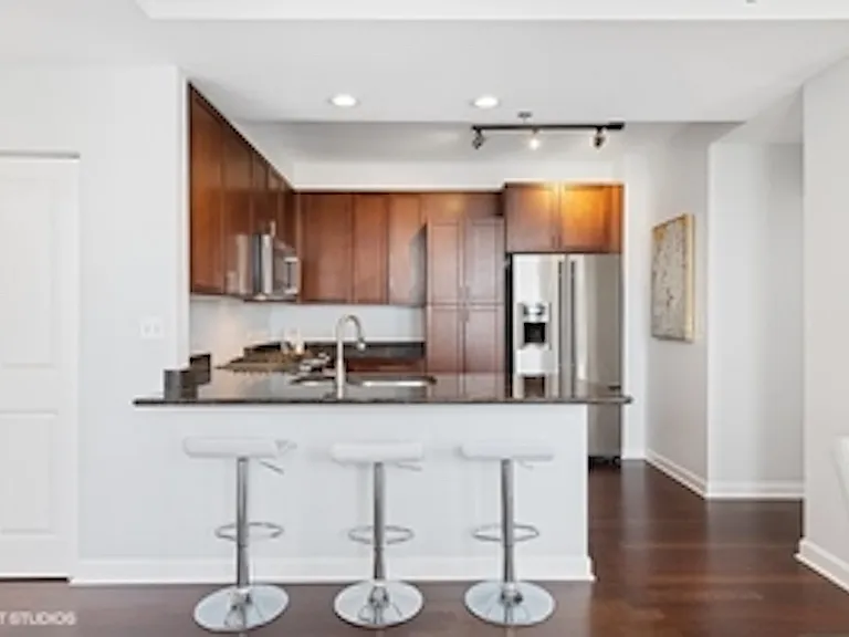 1250 S Michigan Ave #2506 — Photo 6
