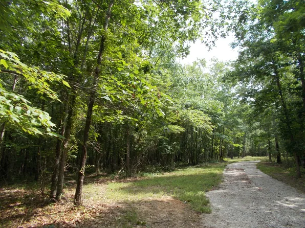 0 Little Hurricane Creek Rd, Mc Ewen, TN 37101