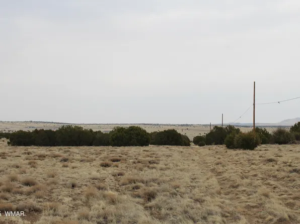 21 County Rd, Concho, AZ 85924
