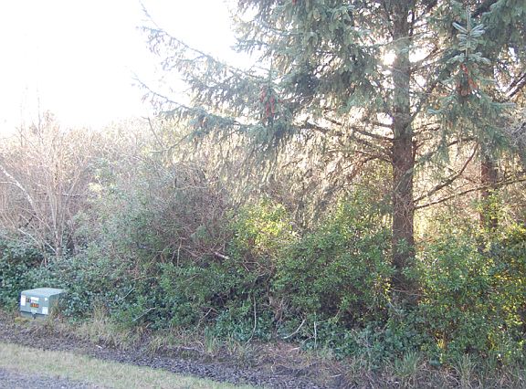 4th image of 845 Vagabond Ave SW