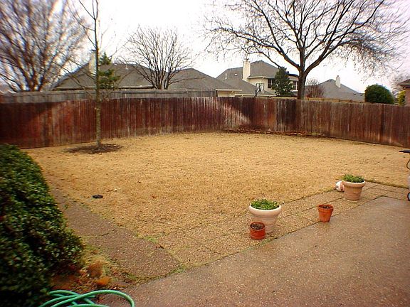Large Backyard