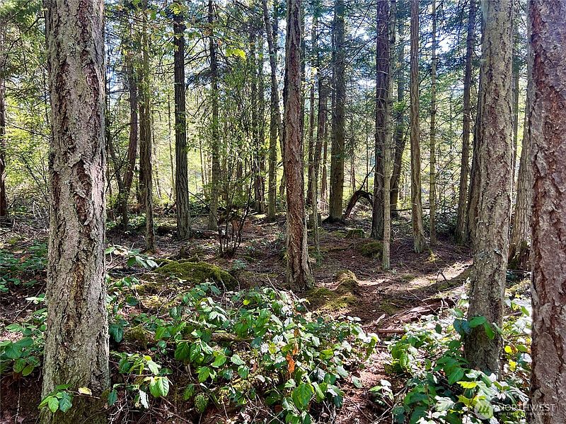 5th image of 0 Thatcher Pass Road