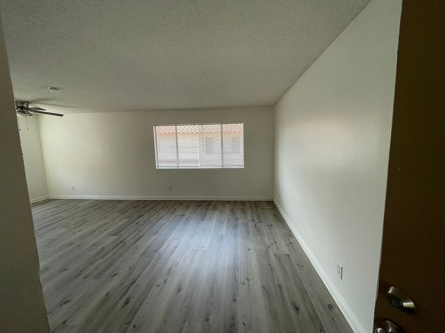 Citrus Ave - 810 - BLUE — Photo 3