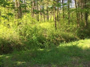 Block House Valley Rd, Clinton, TN 37716