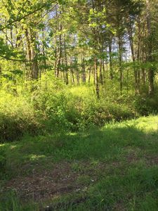 Block House Valley Rd, Clinton, TN, 37716