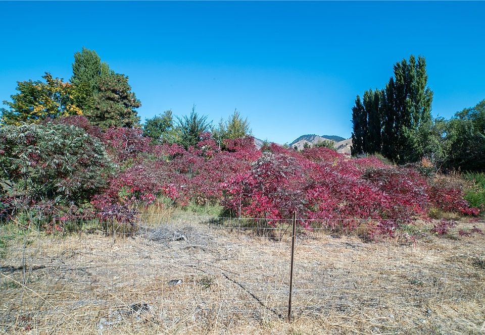 2nd image of 6094 Hazel Pl