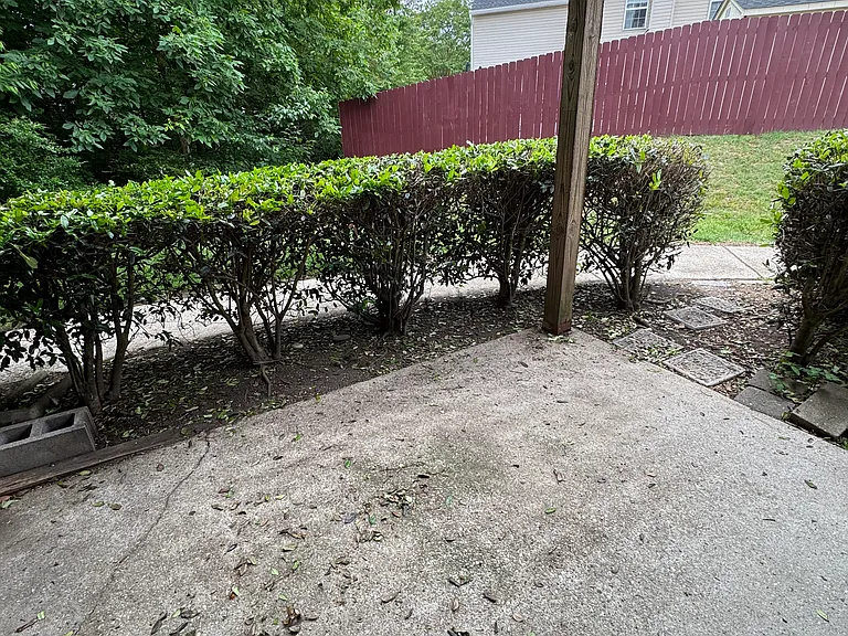 436 Lees Mill Dr — Photo 17