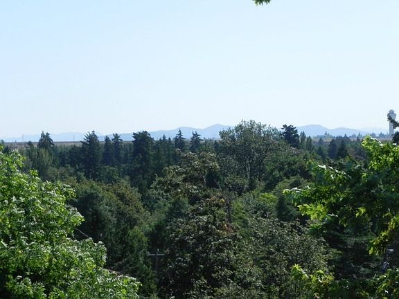 The Cascade Mountains provide a beautiful background for noise-free airplane viewing.