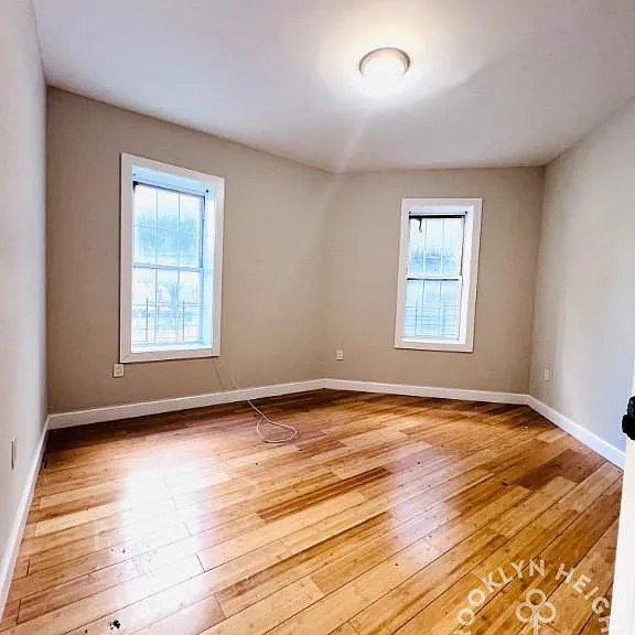 546 Chauncey St #2 — Photo 5