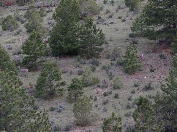 4601 County Road 16, Cotopaxi, CO 81223