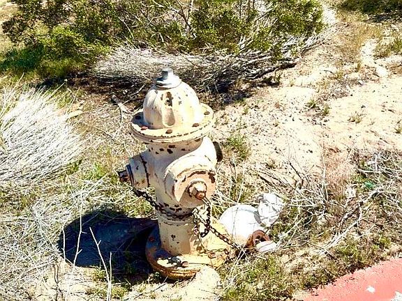 4th image of 0 Daisy Rd