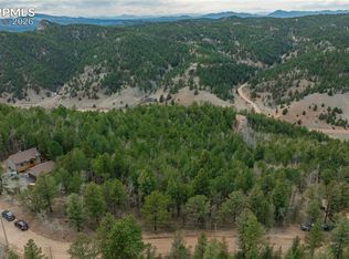 881 Timber Ridge Rd, Divide, CO 80814